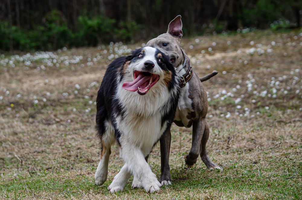 Photograph by Сергей Торхов