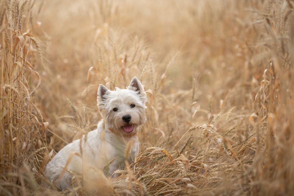 Photograph by LIDIYA HOLD