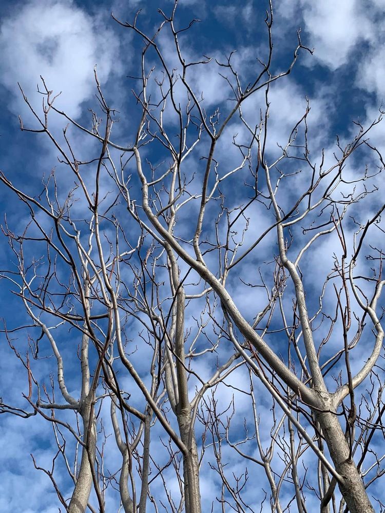 Photograph by Сергеева Татьяна