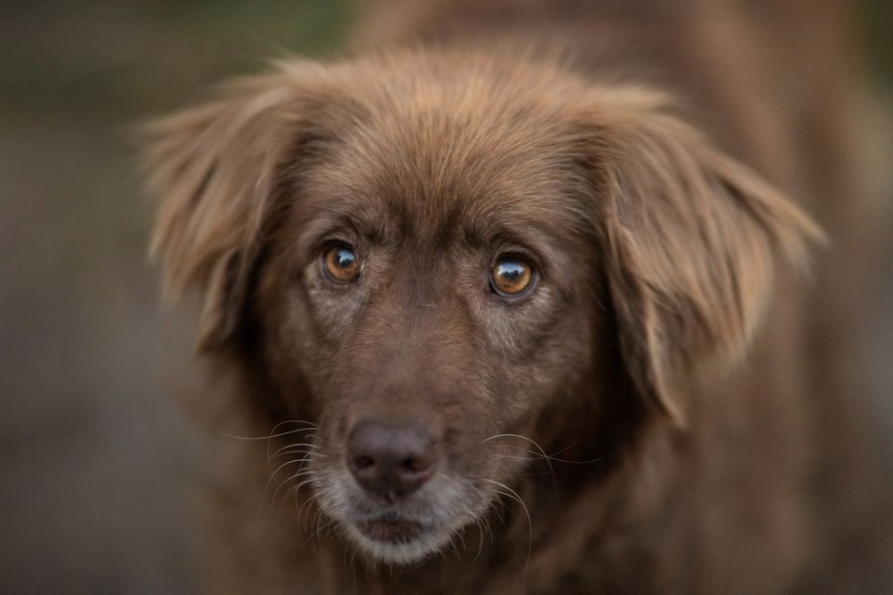 Photograph by LIDIYA HOLD