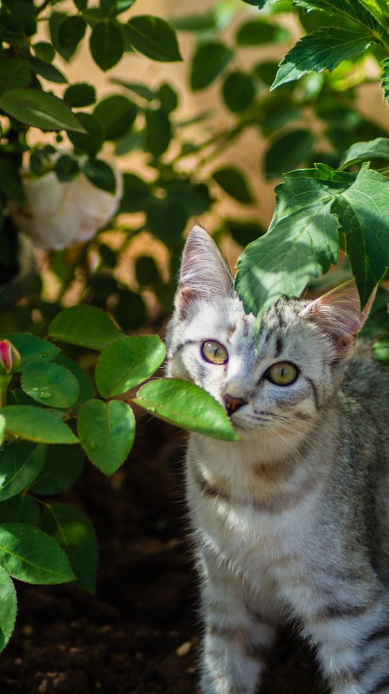 Photograph by Евгений Калагаев