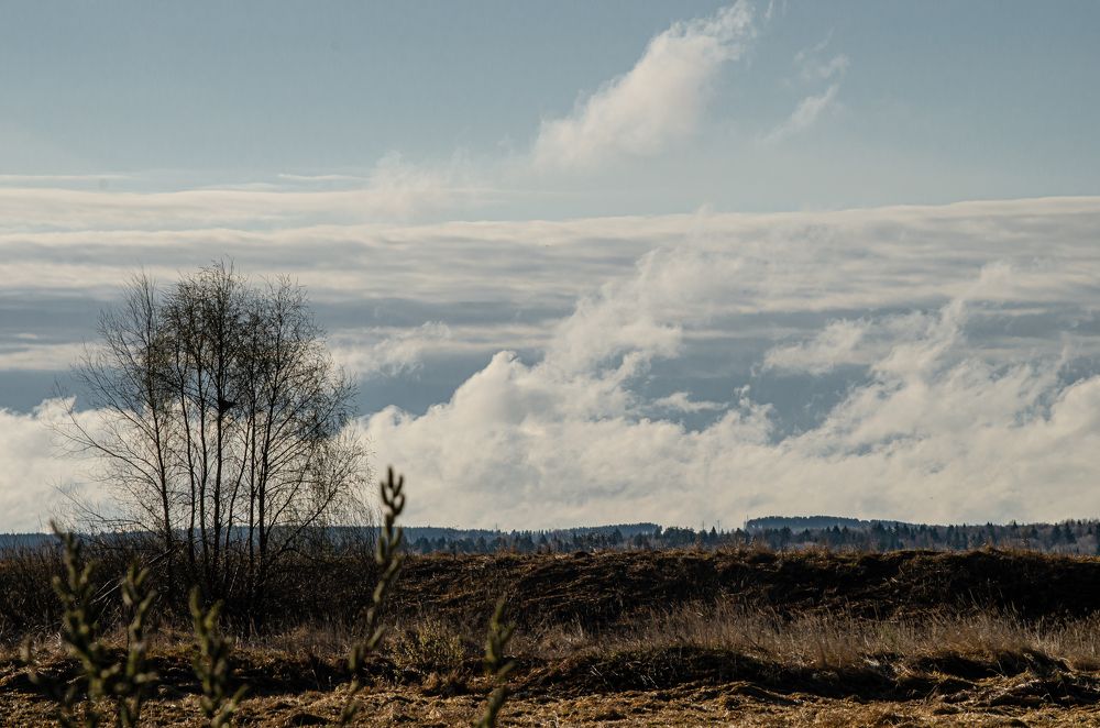 Photograph by Сергей Торхов