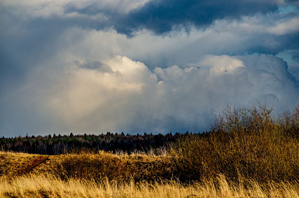 Photograph by Сергей Торхов