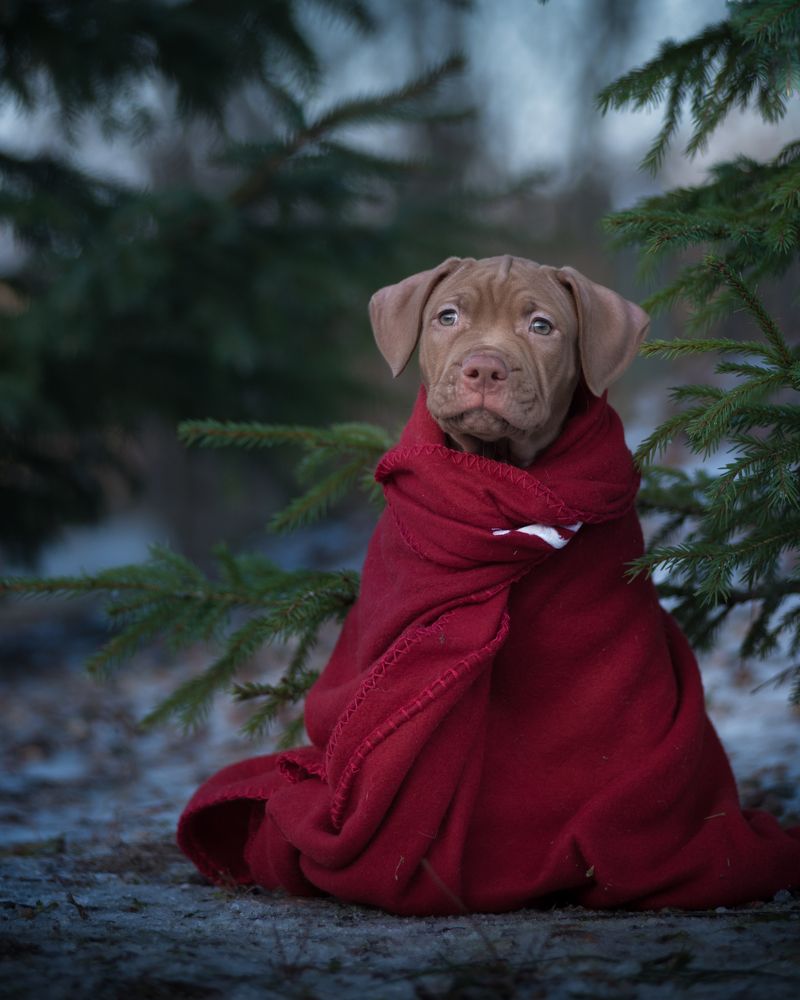 Photograph by Роман Фабричный