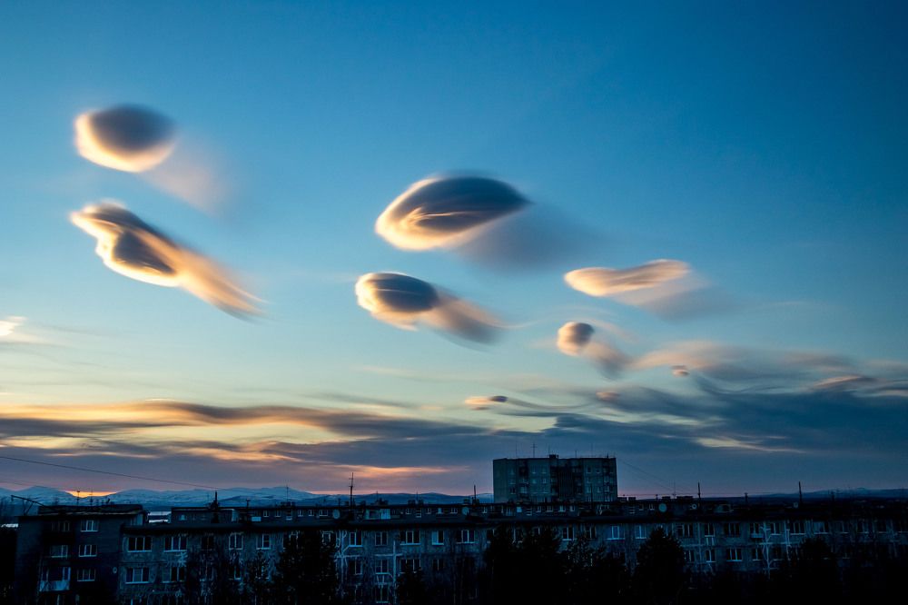 Они прилетели!