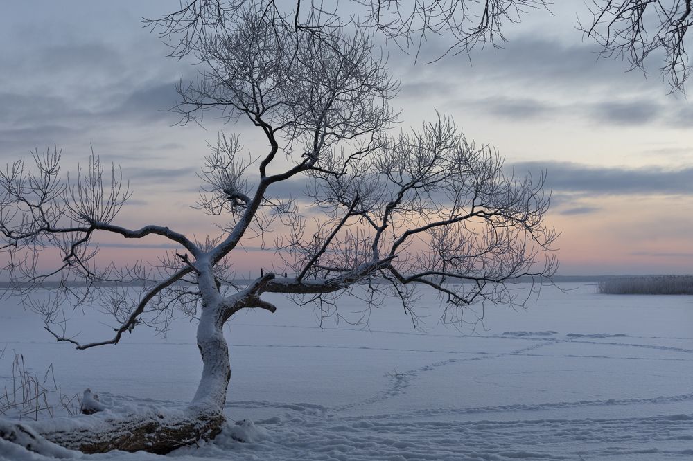 Photograph by Liga Skalde