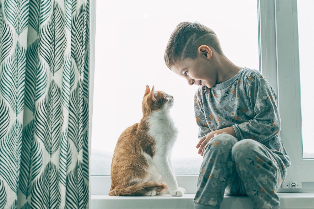 Photograph by Зухра Галиуллина