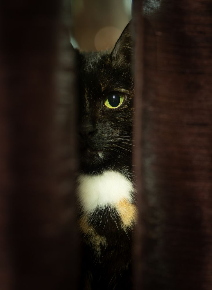 Фотография автора Олесь Парицкий