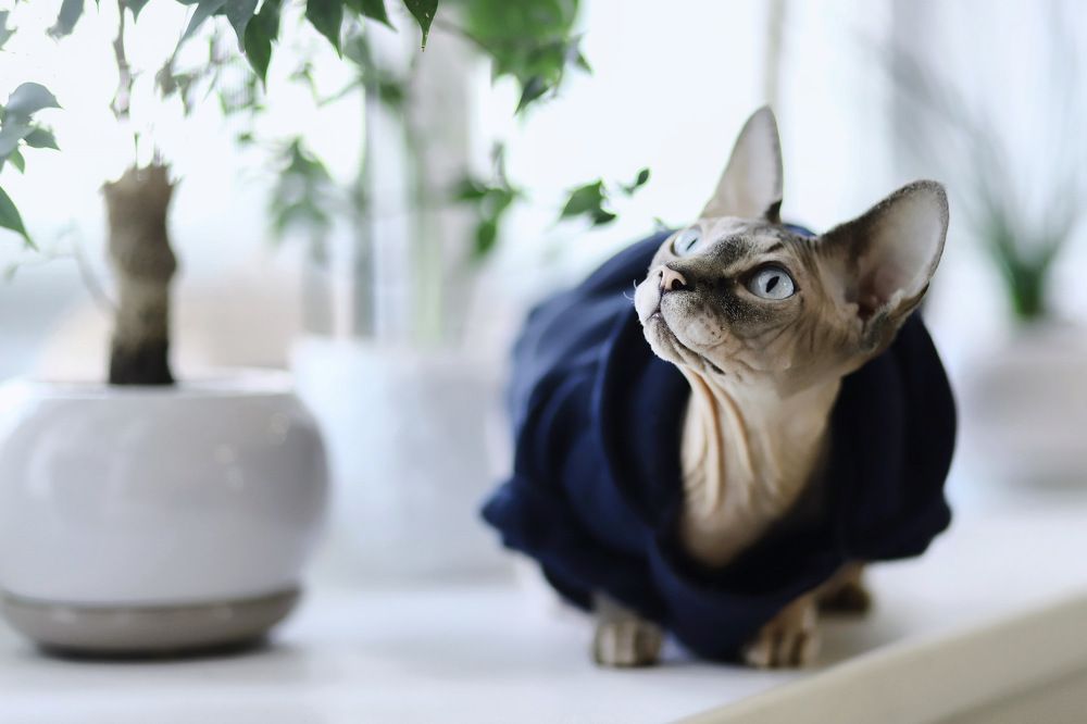 Photograph by Дарья Заводцова