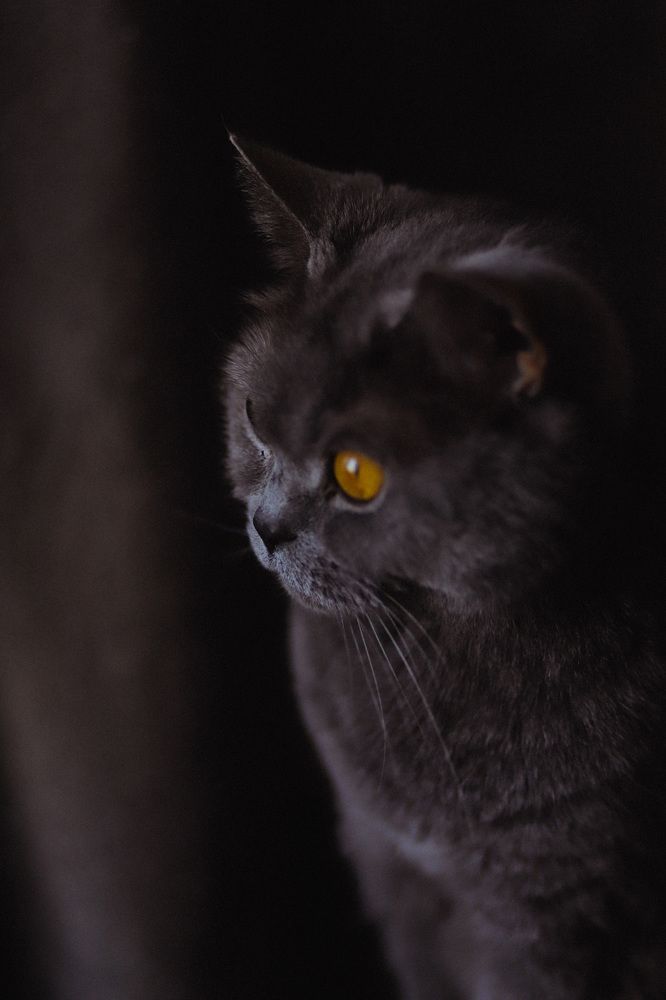 Photograph by Дарья Заводцова