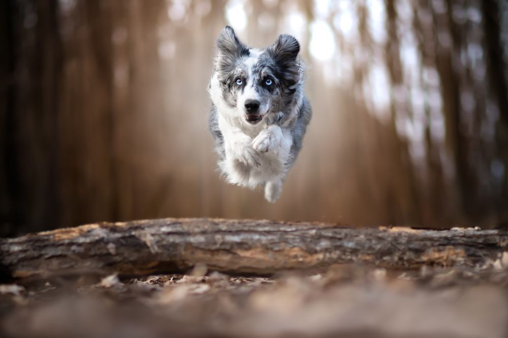 Photograph by Jakub Kudlovsky