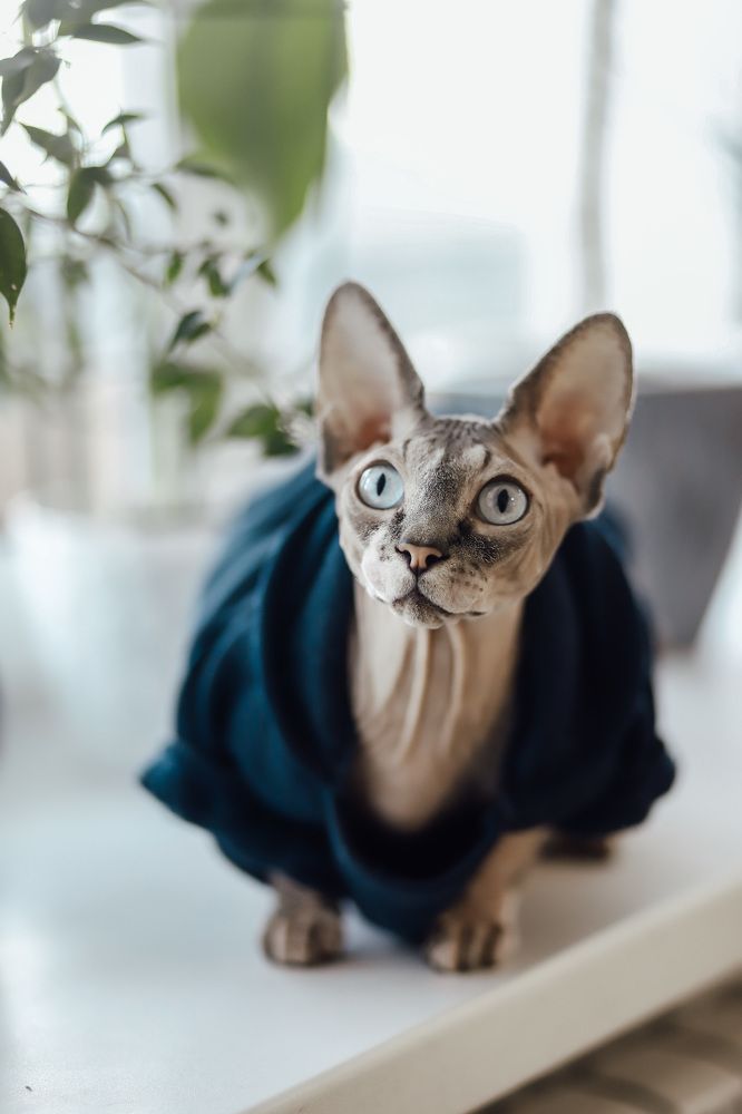 Photograph by Дарья Заводцова