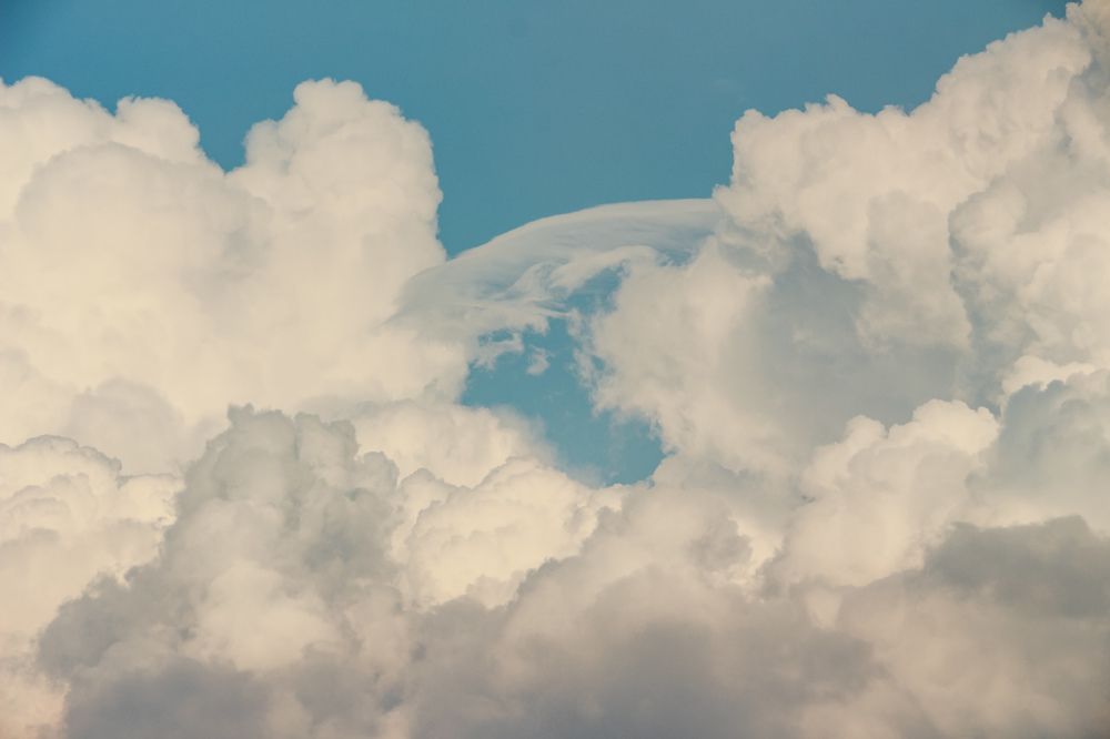 Photograph by Michael