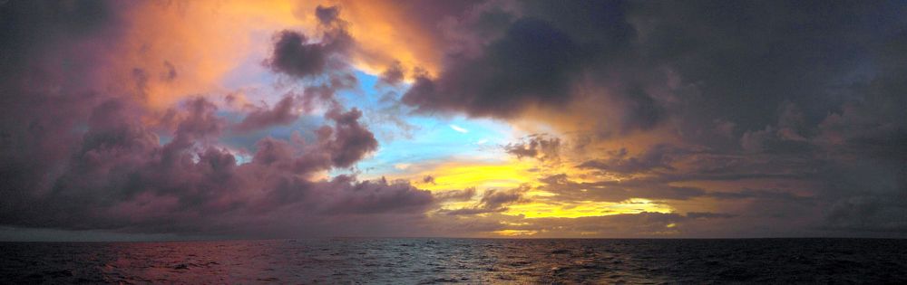 Photo #6067671