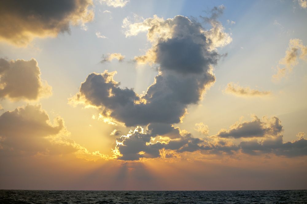 Photograph by 