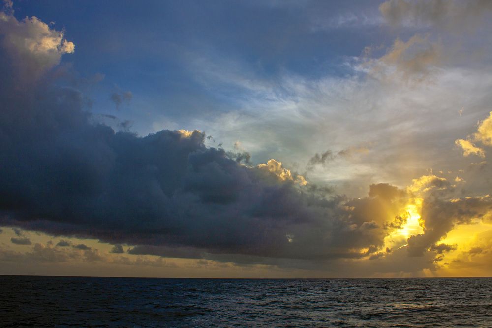 Photograph by 