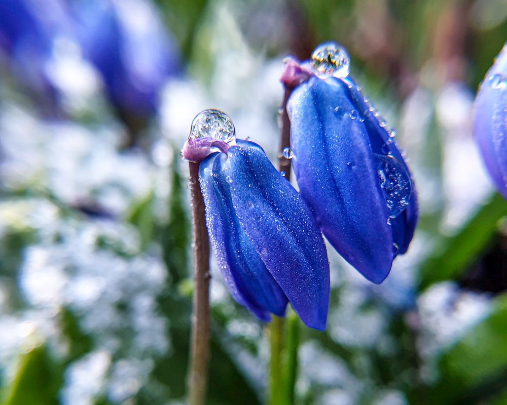 Photograph by Aksana Shvydkova