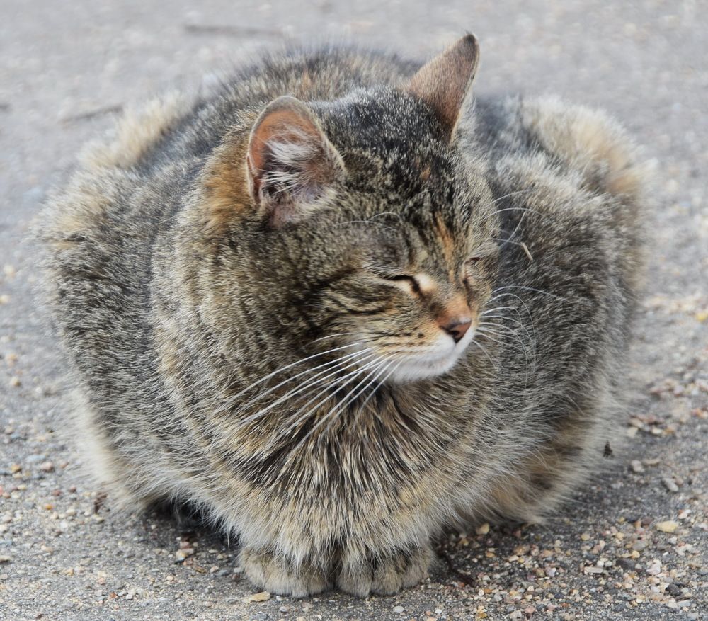 Photograph by Galina Leskova