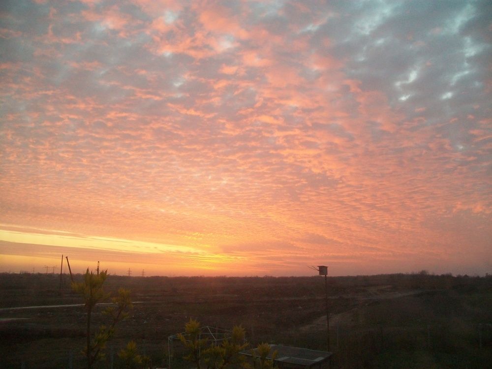 Photograph by Игорь Пекарский