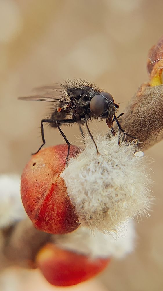 Photograph by Aksana Shvydkova