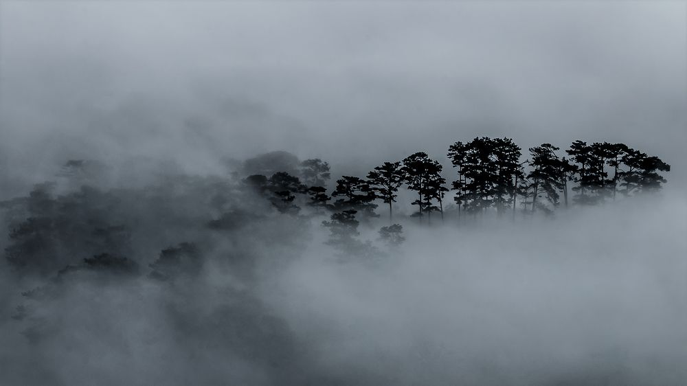 Photograph by Cao Vi Trinh