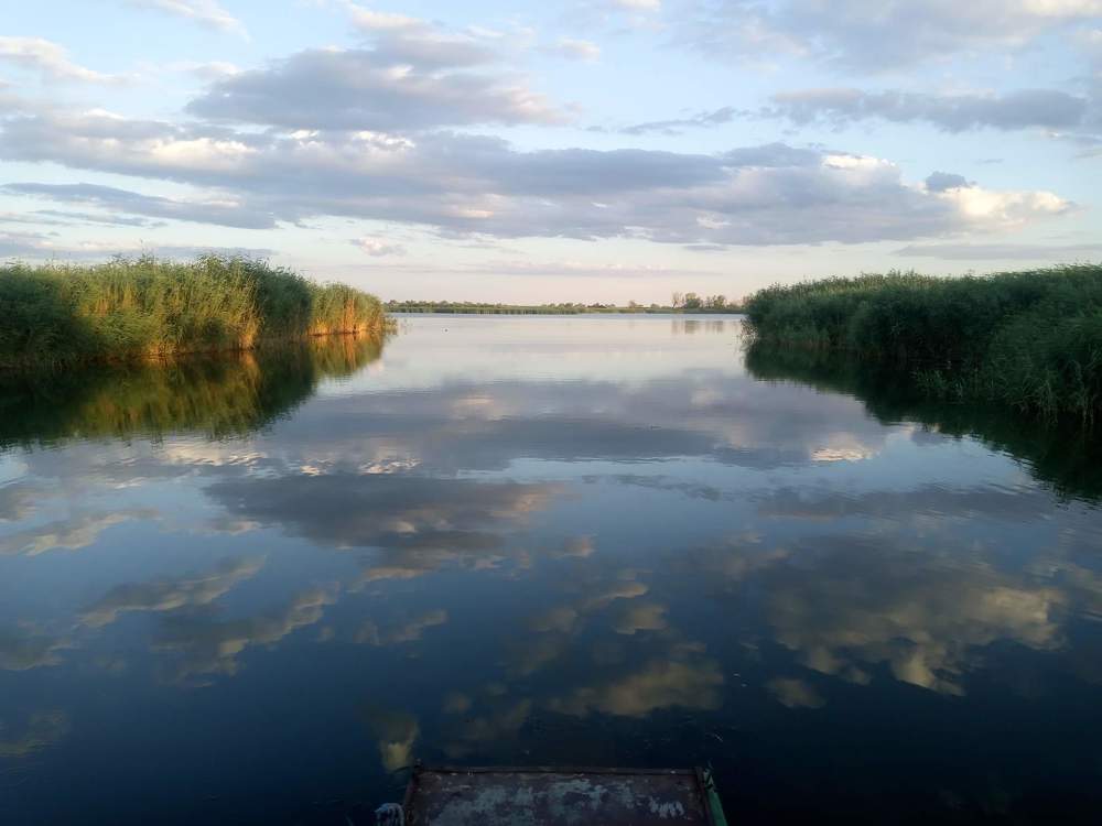 Кизомыс