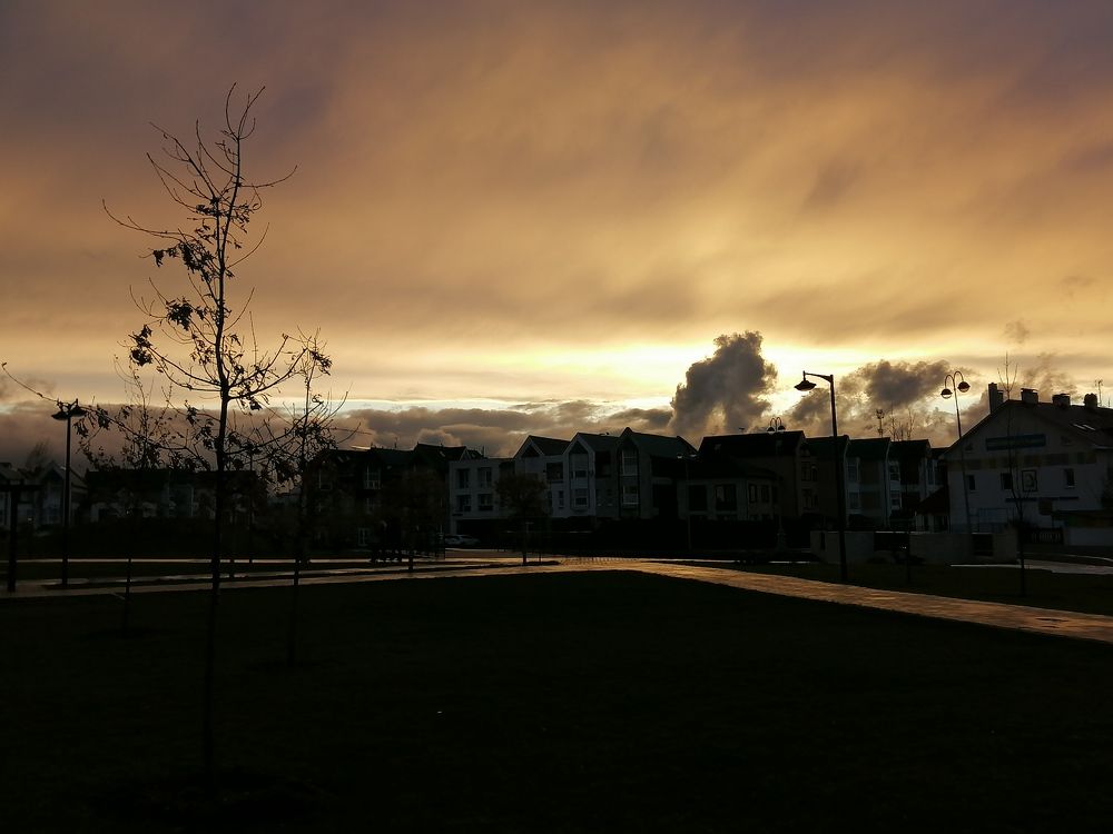 Photograph by Полина Белокопытова