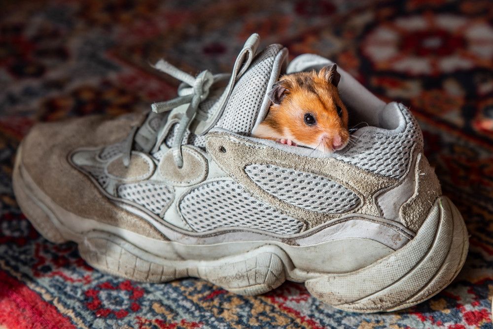 Photograph by Сергей Нагель-Синегубов