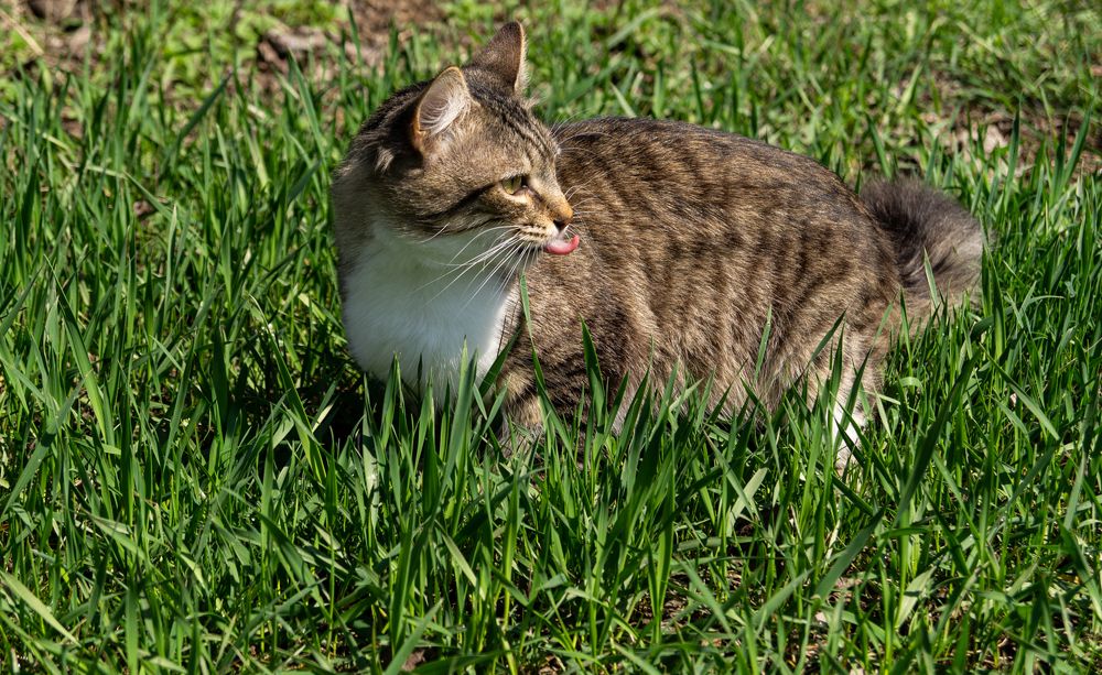 Photograph by Vlad Proshin