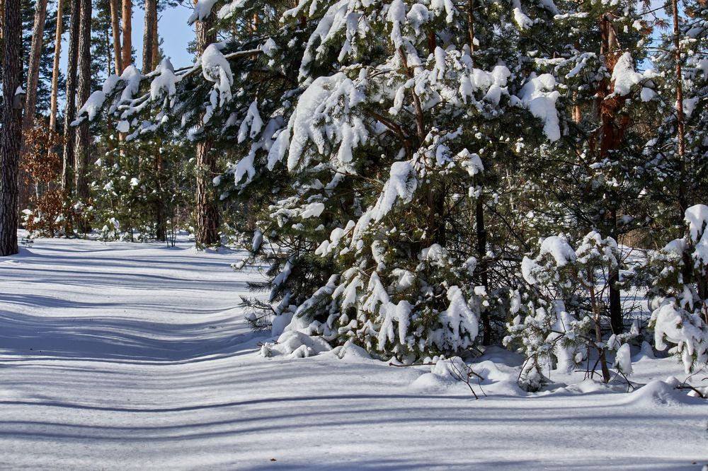 Photograph by Михаил Кобелюк