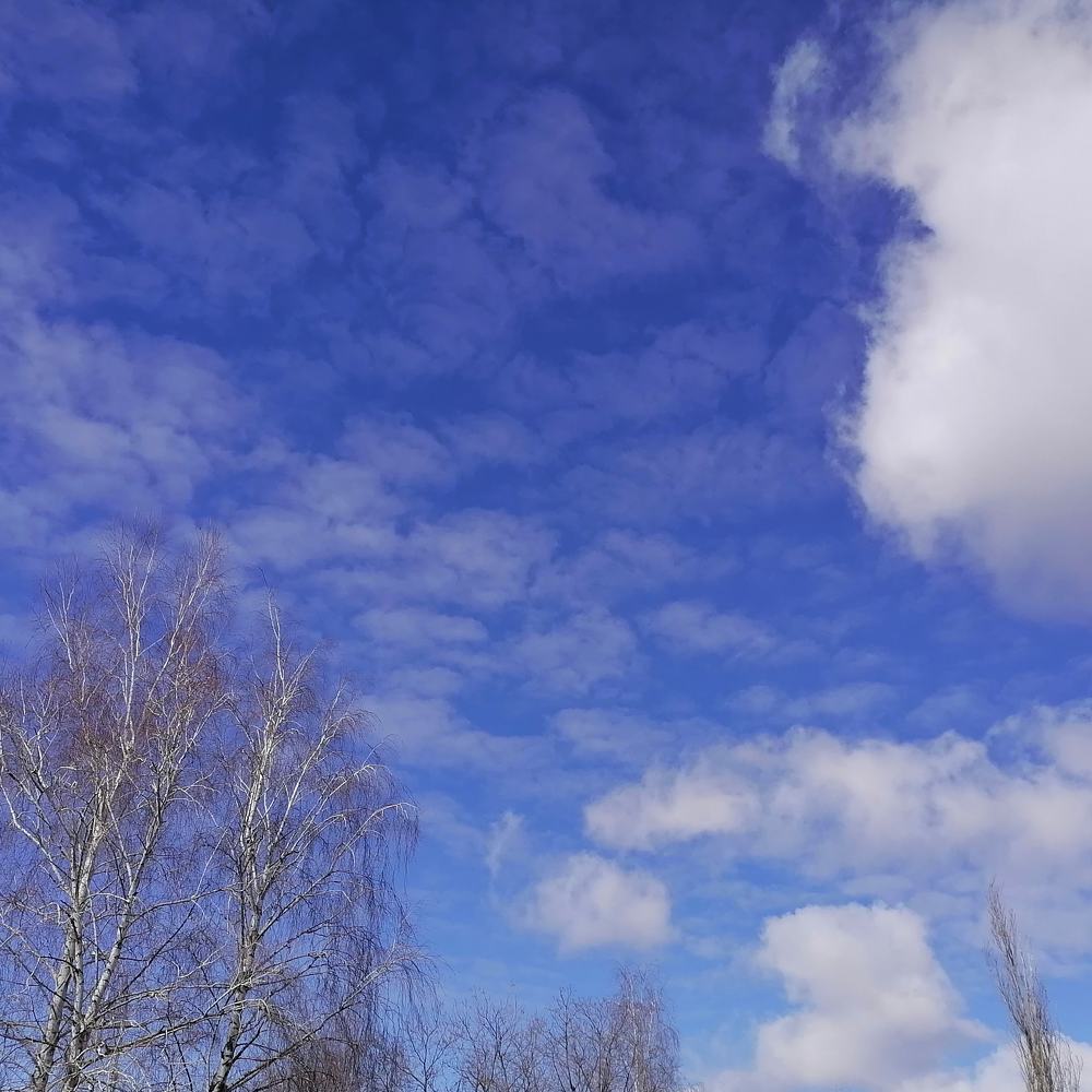 Photograph by Любовь Панфилова