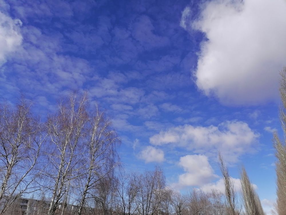 Photograph by Любовь Панфилова