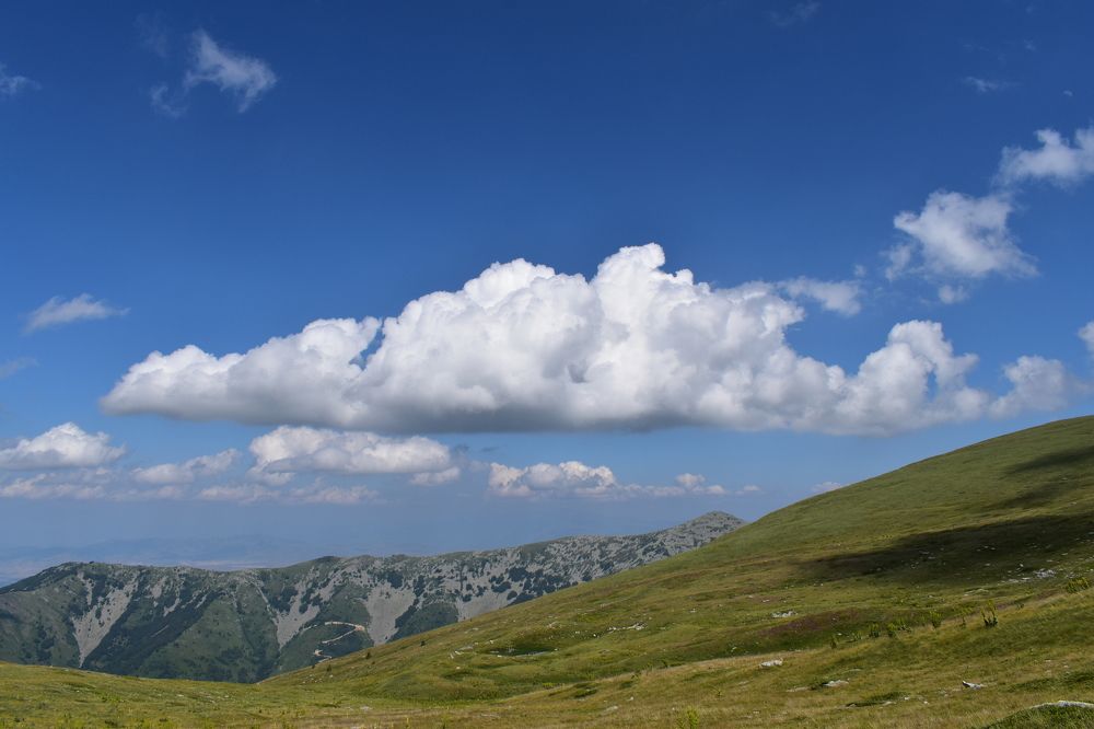 Photograph by Natasha Latinovska