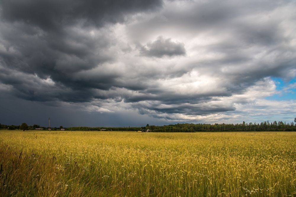 Photograph by Alla Matrosova