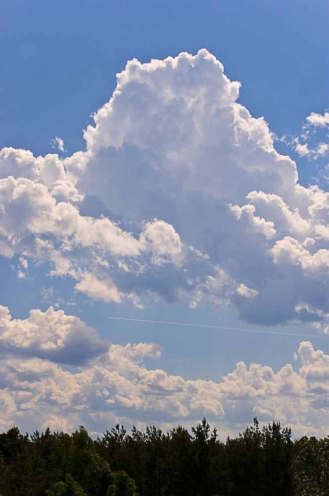 Фотография автора Александр Сальников