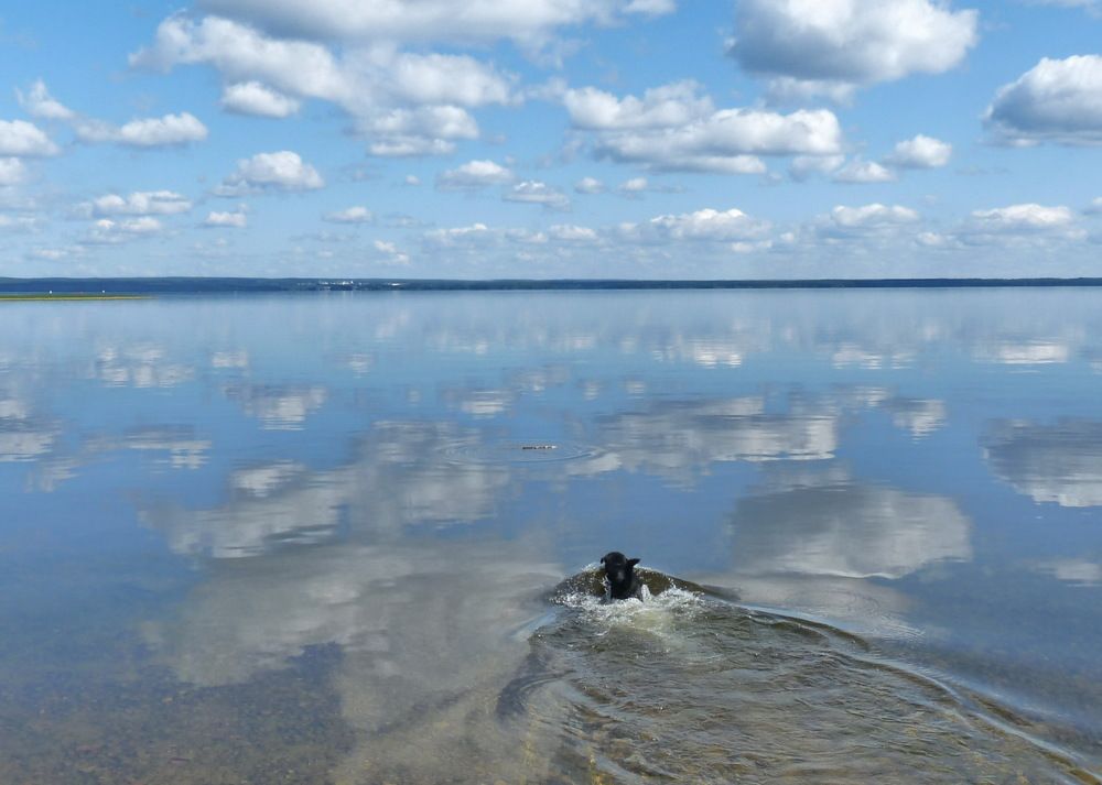 Photograph by Марина