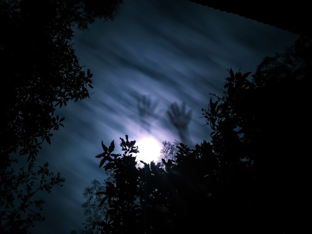 Photograph by Mehedi Hasan Shawan