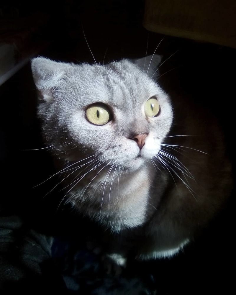 Photograph by Наталия Калюкина