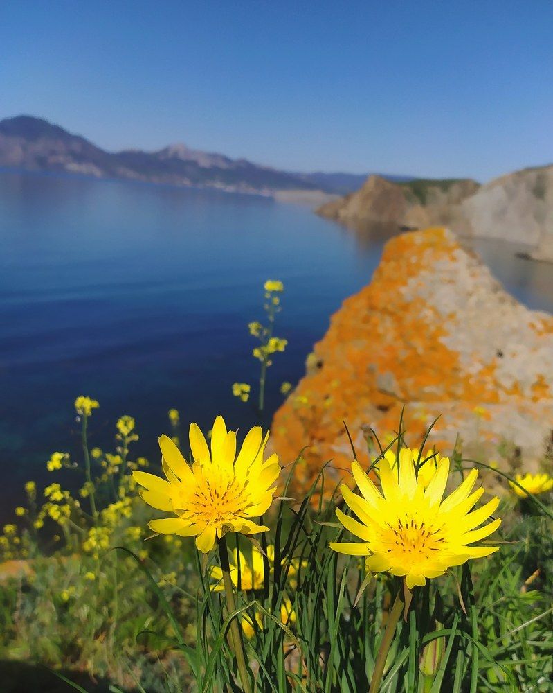 Майская прогулка.