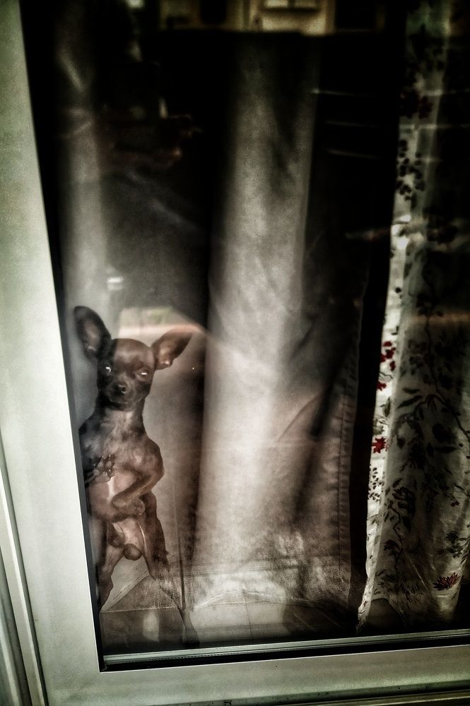 Фотография автора Jorge Herraiz