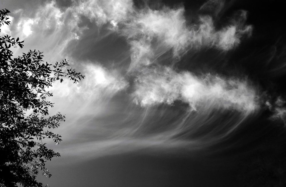 Photograph by Palina Mikhailouskaya