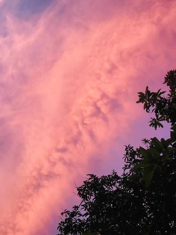 Photograph by Jeyanayagam Jeyathees