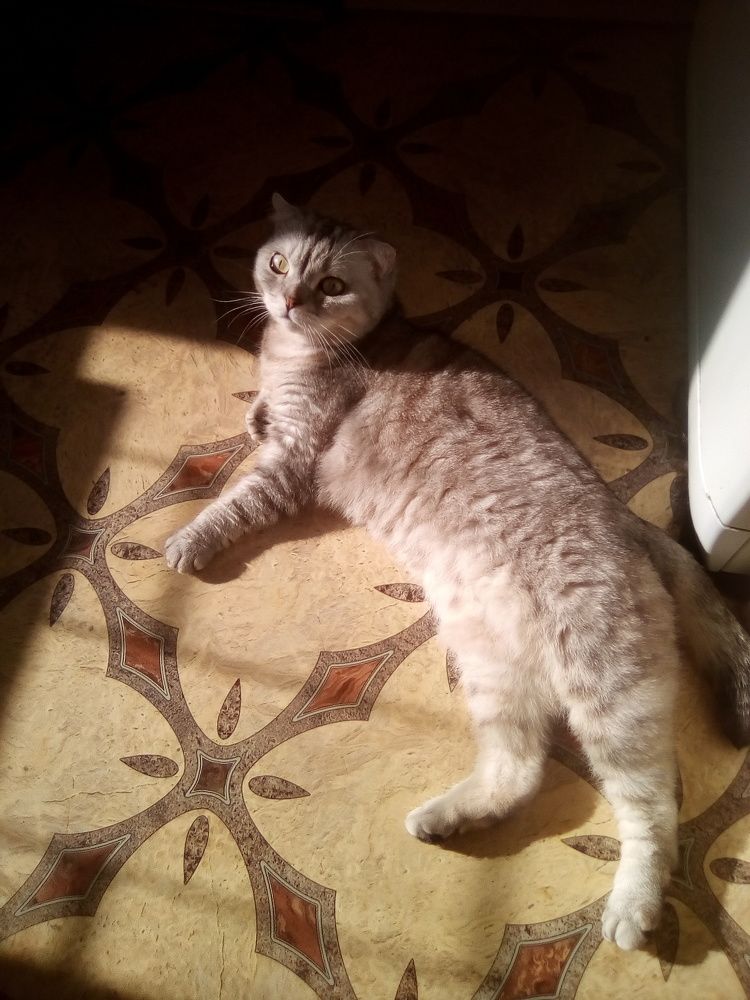 Photograph by Наталия Калюкина