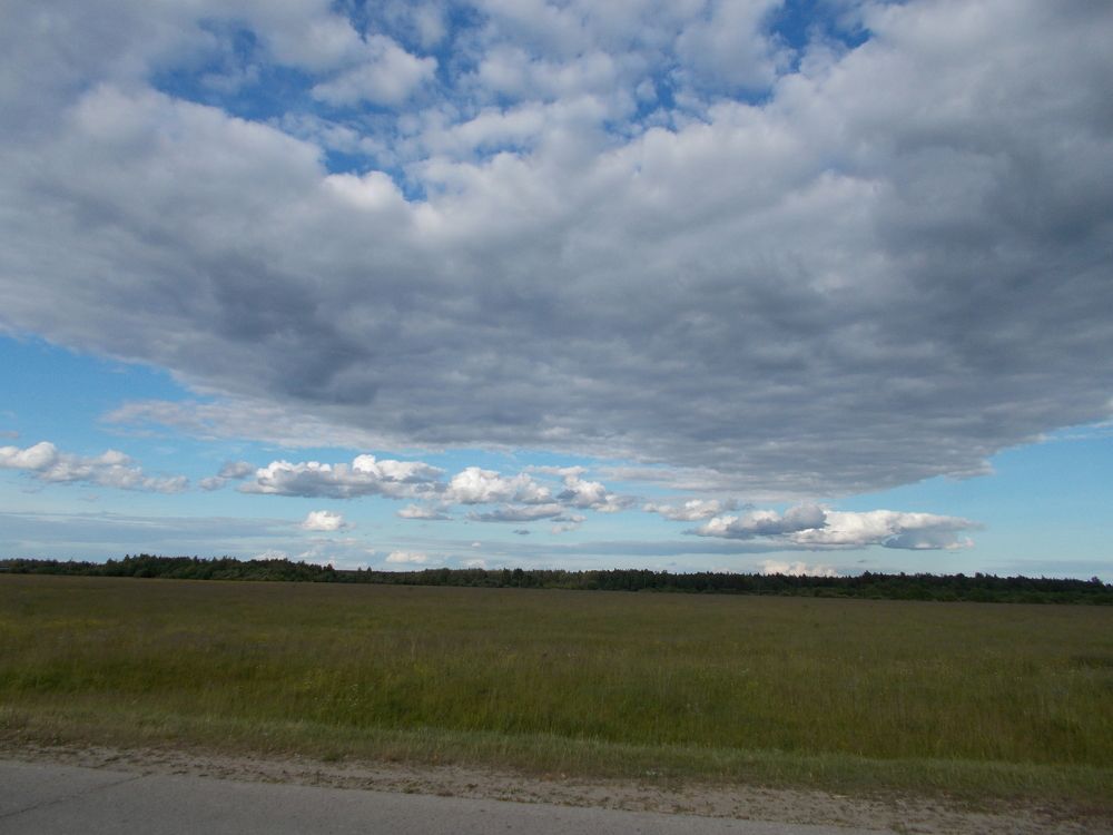 Photo #6067970
