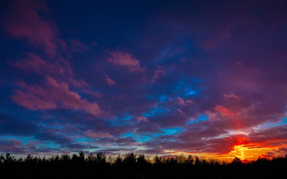 Фотография автора Александр Сальников