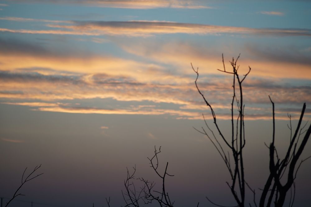 Photograph by Анастасия Като