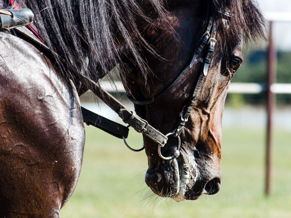 Photograph by Максим Ушаков
