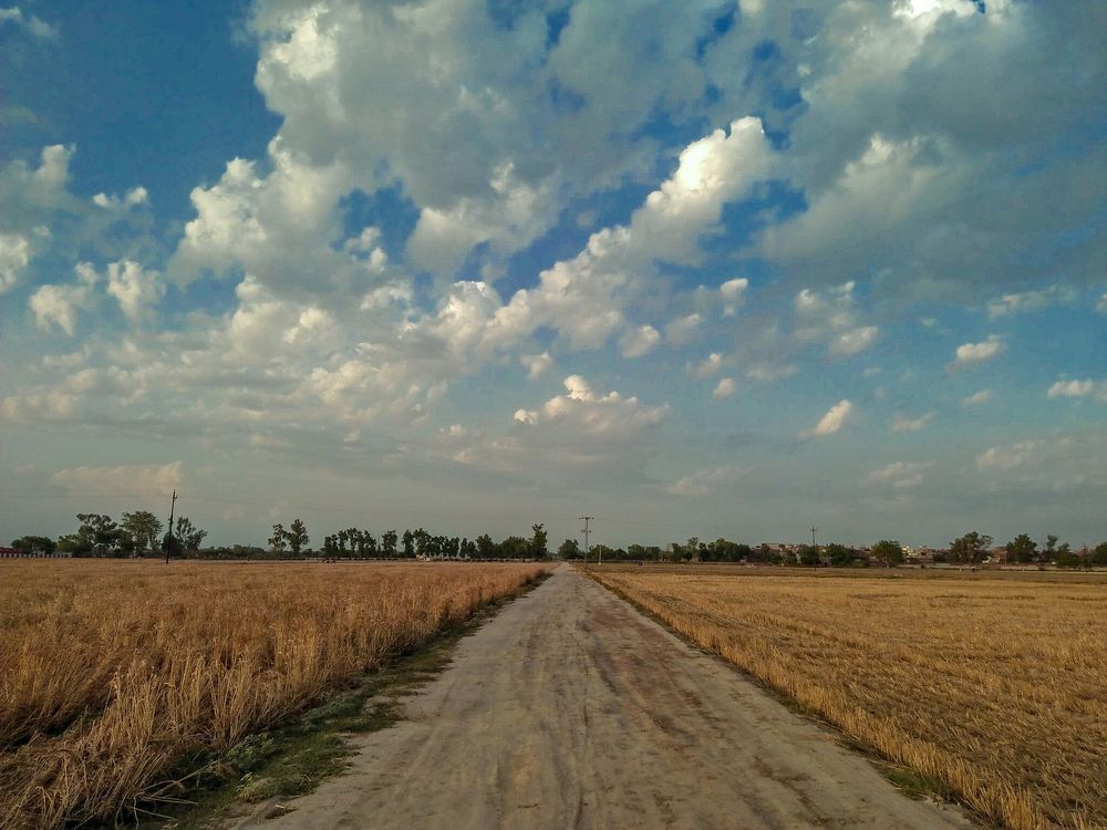 Photograph by Muhammad Sajawal Fareed