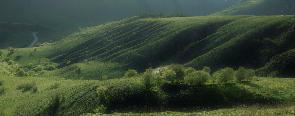 Green velvet of the hills. Зеленый бархат холмов горной Ингушетии