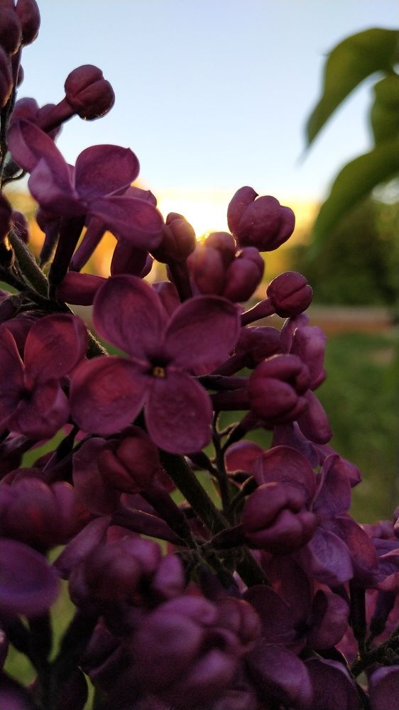 Photo #6068026